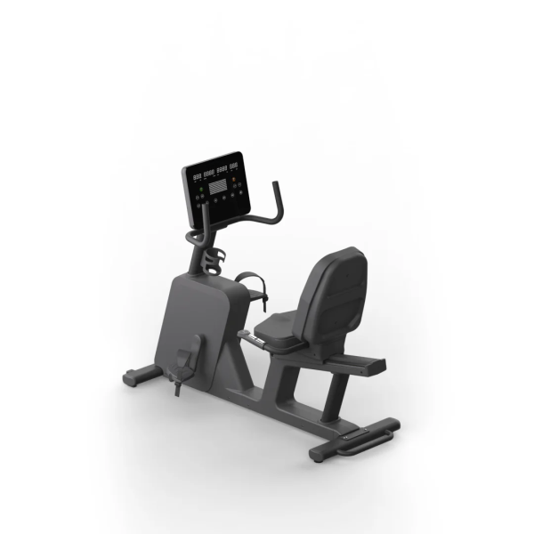 RECUMBENT BIKE