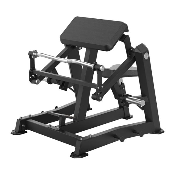 BICEPS CURL