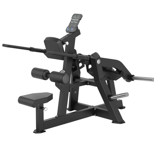 SEATED DIPS PRESS