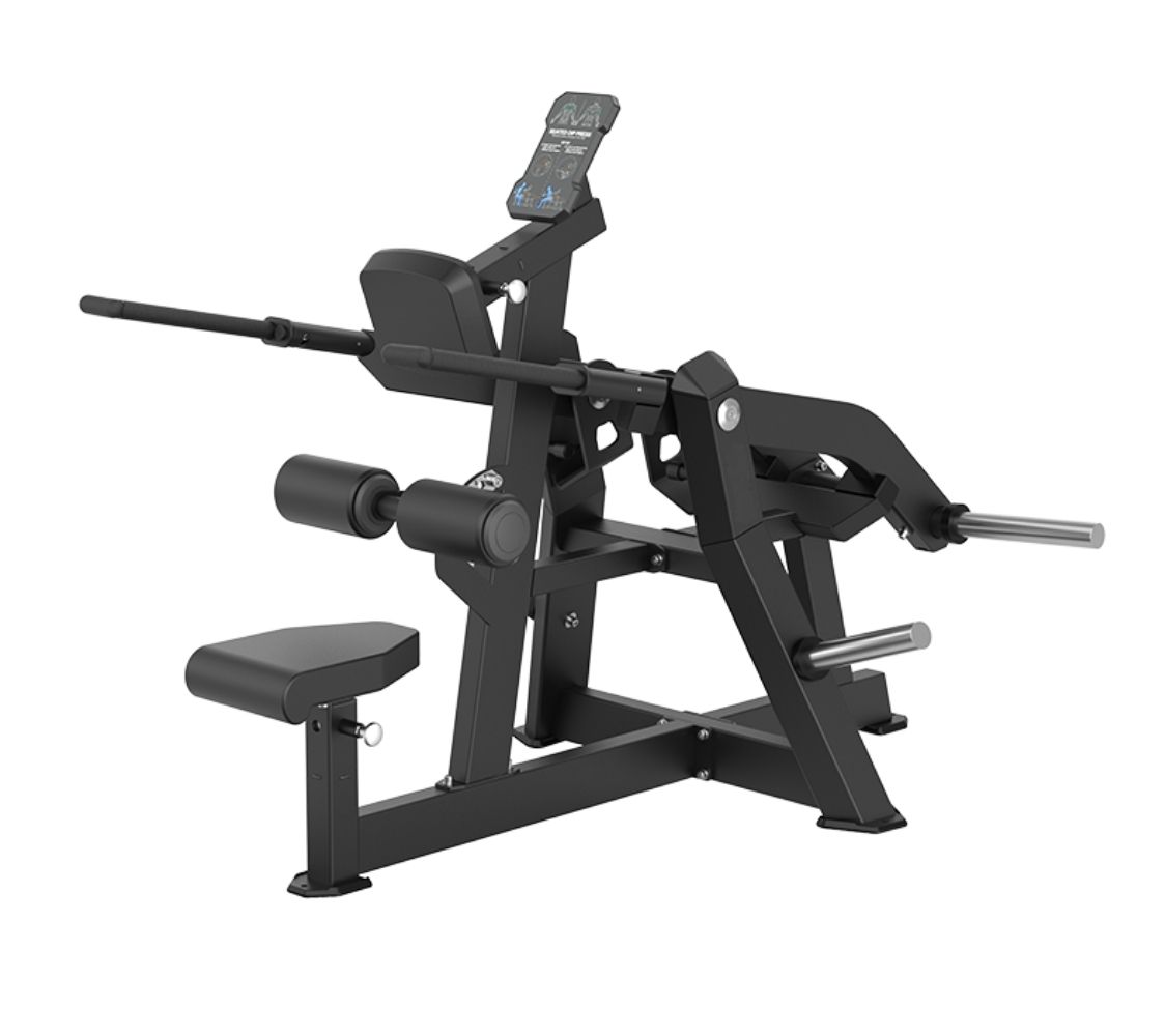 SEATED DIPS PRESS