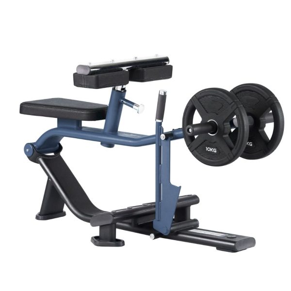 CALF RAISE