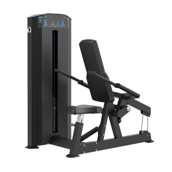 SEATED DIPS PRESS